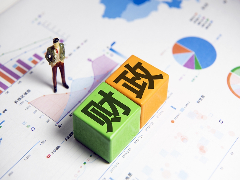 河南省农业农村厅关于提前下达2025年中央和省级财政衔接推进乡村振兴补助资金（巩固拓展脱贫攻坚成果和乡村振兴任务）分配情况的公告