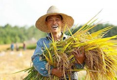 转发：关于征求《郑州市农业产业化重点龙头企业认定和运行监测管理办法》（征求意见稿）意见的通知